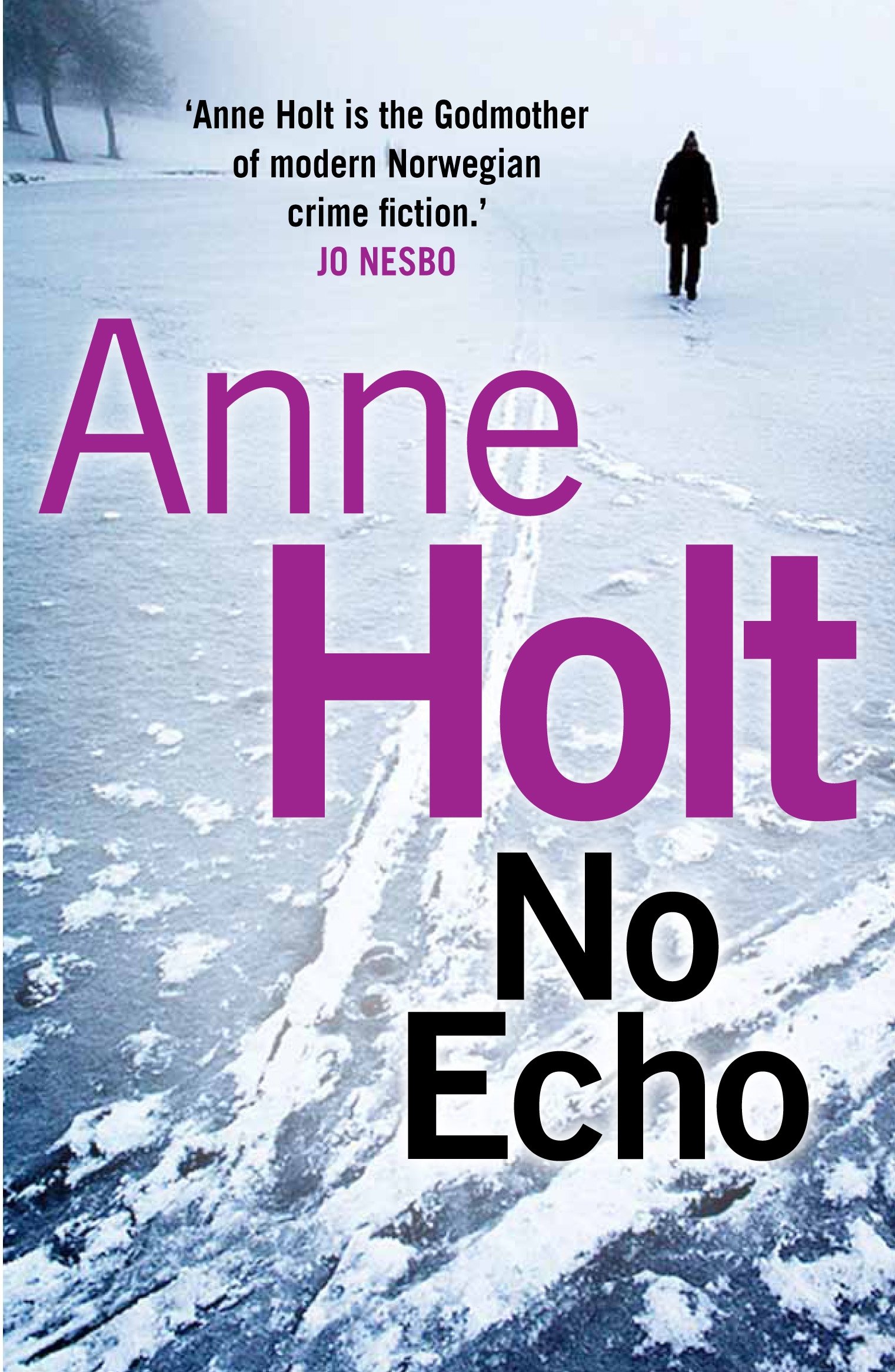No Echo by Anne Holt (Paperback Book)