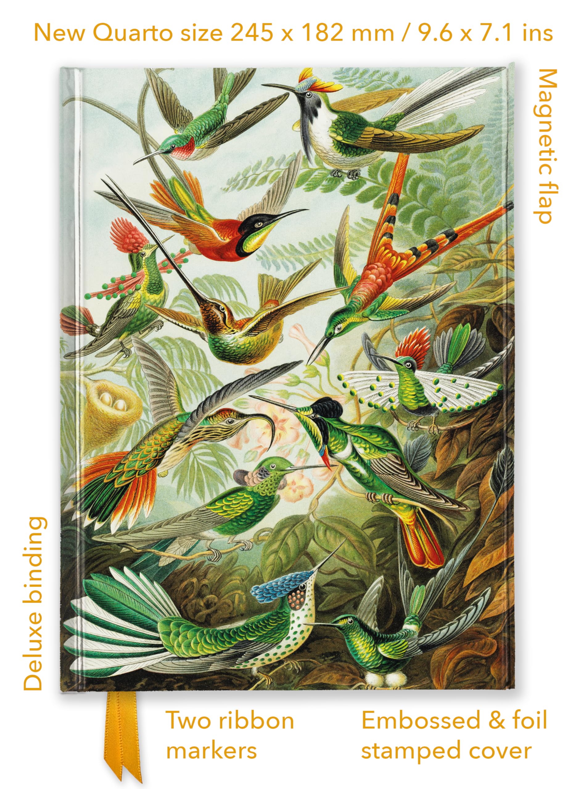Ernst Haeckel: Hummingbirds (Foiled Quarto Journal) (Flame Tree Quarto Notebook)