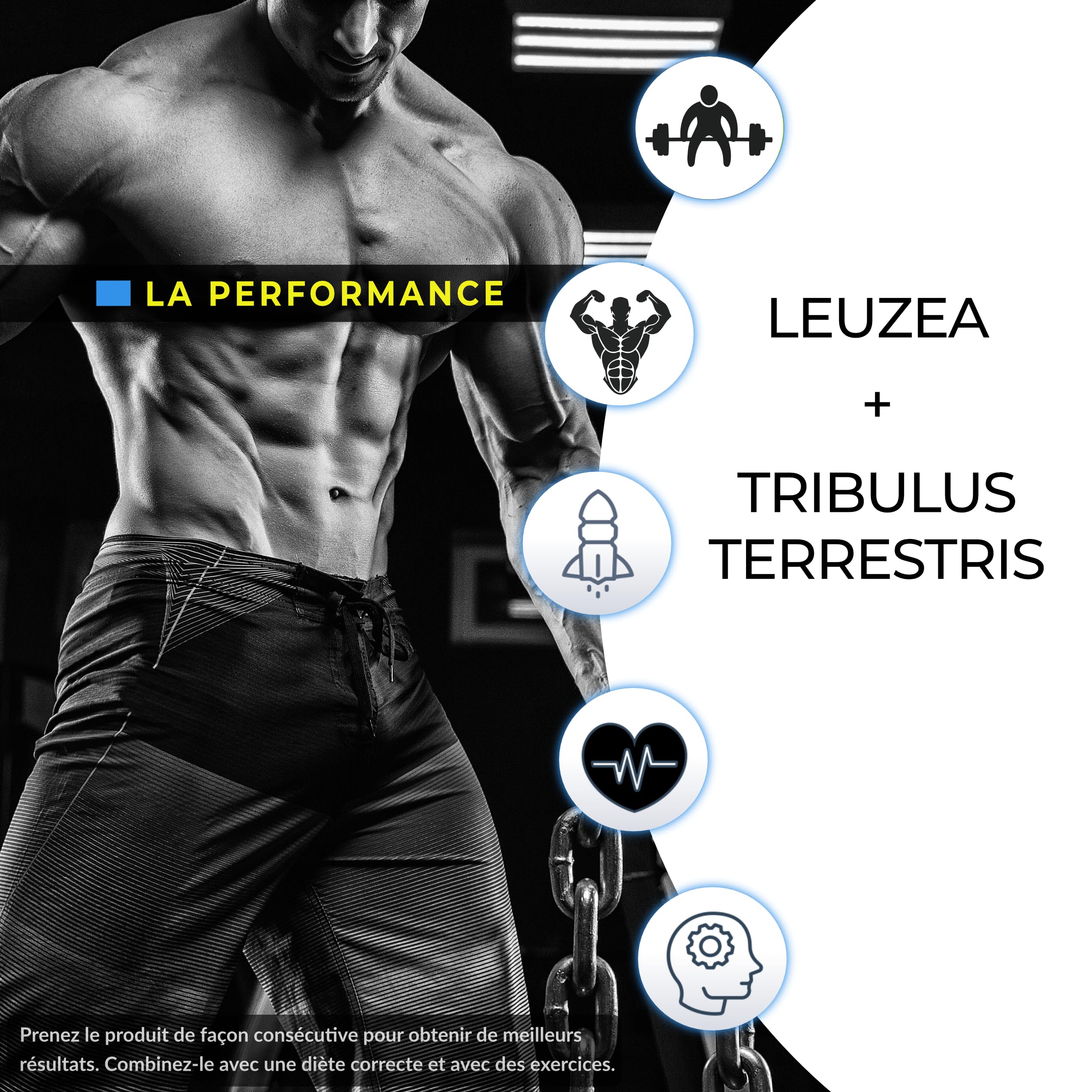 Ecdystérone - Tribulus Terrestris, Complément alimentaire par Synergie Nutrition - 400 mg d'extrait de Tribulus 90%+ de saponines - 400 mg d'extrait de Leuzea 20:1 - 60 doses quotidiennes