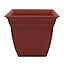 Clay