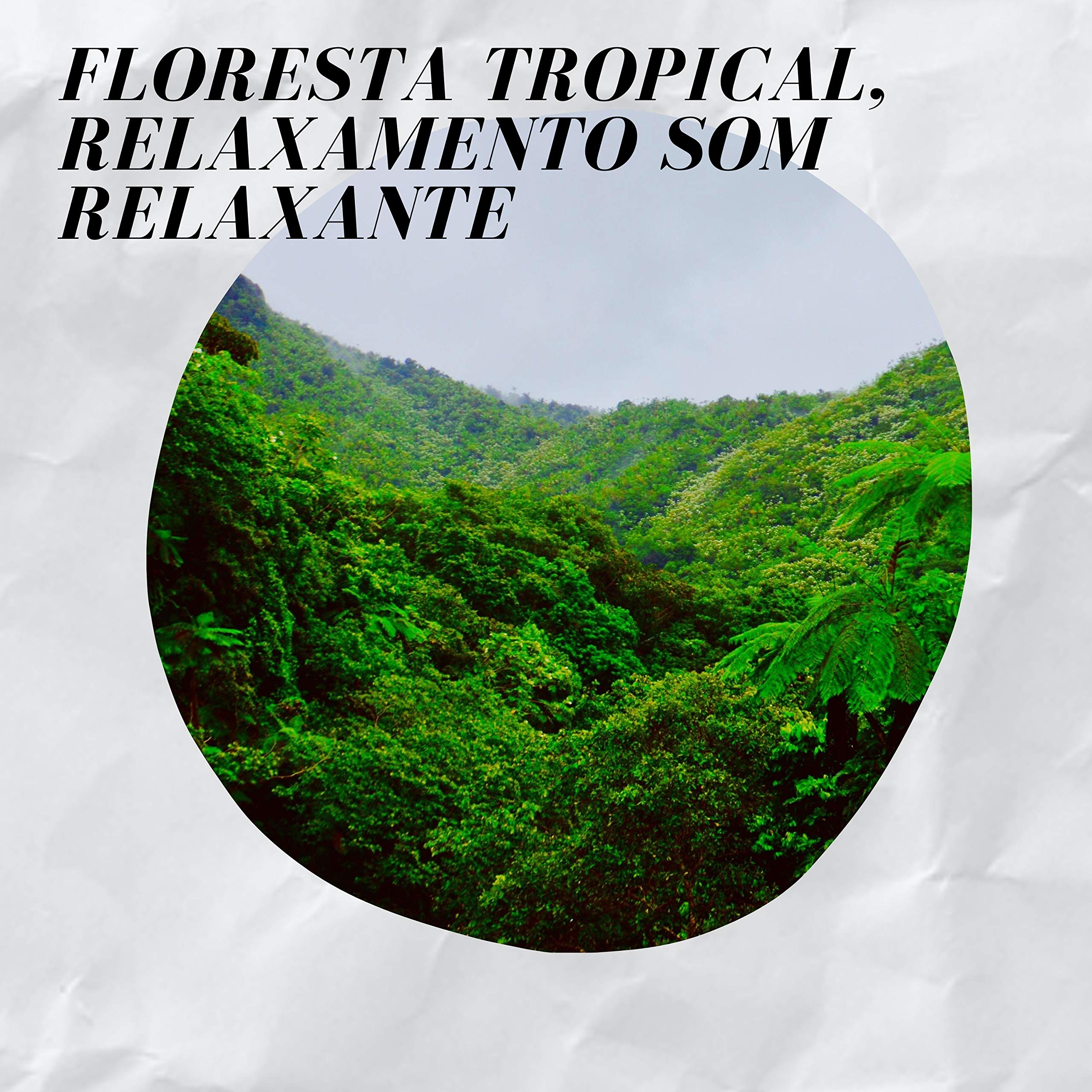 Floresta Tropical