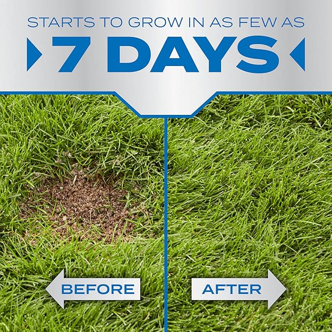 Scotts PatchMaster Mezcla para Reparar Césped Sol y Sombra - 4.75 lb miniatura 3