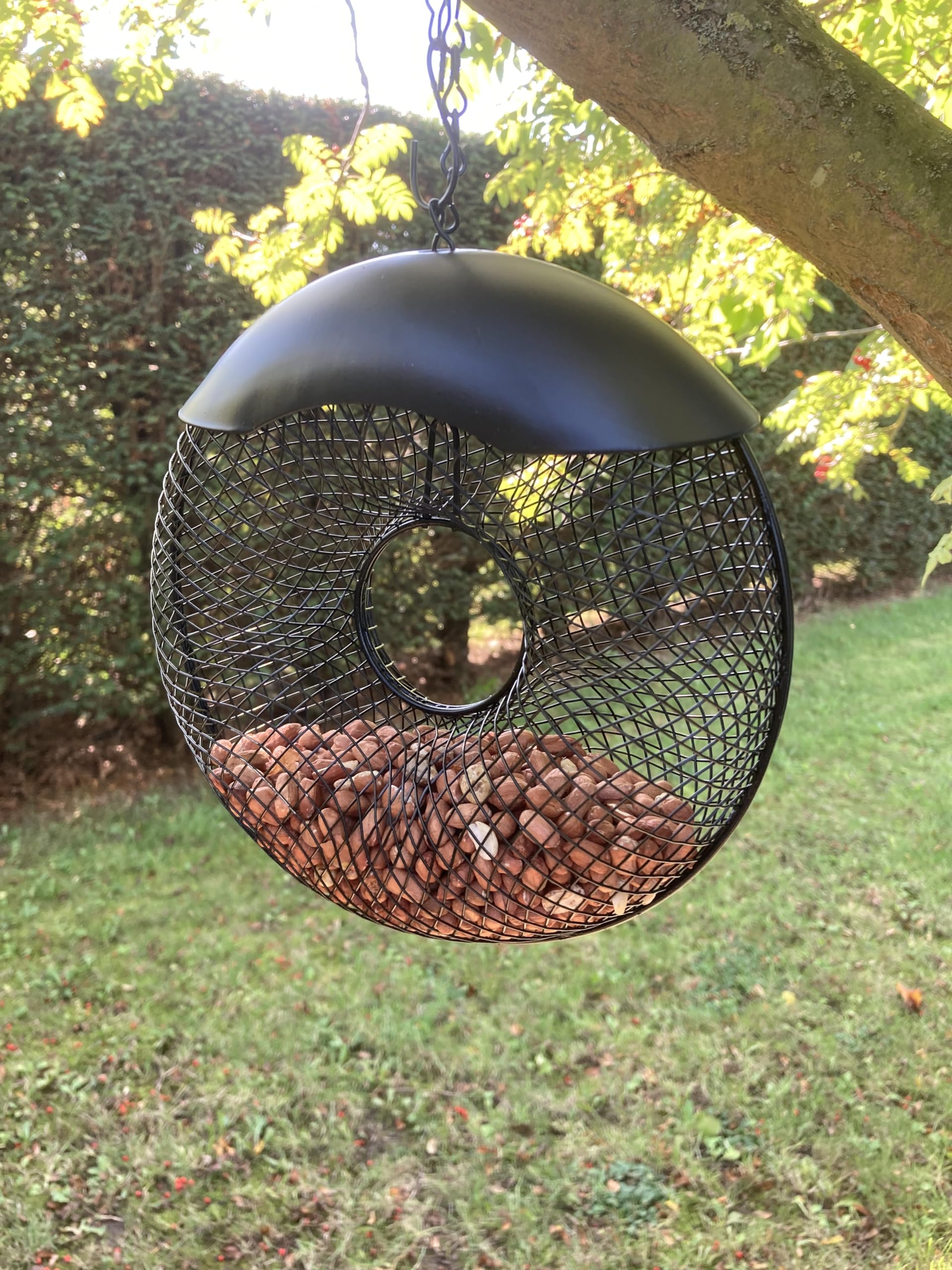 Oakdale Donut Premium Peanut Wild Bird Feeder - Easy Refillable Outdoor Hanging Garden Decoration For Birdwatching - Image 3