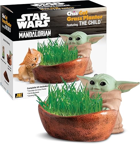 Chia Jardinera de césped para gatos – Star Wars The Mandalorian The Child – Regalo saludable para tu gato – Maceta decorativa de cerámica, fácil de