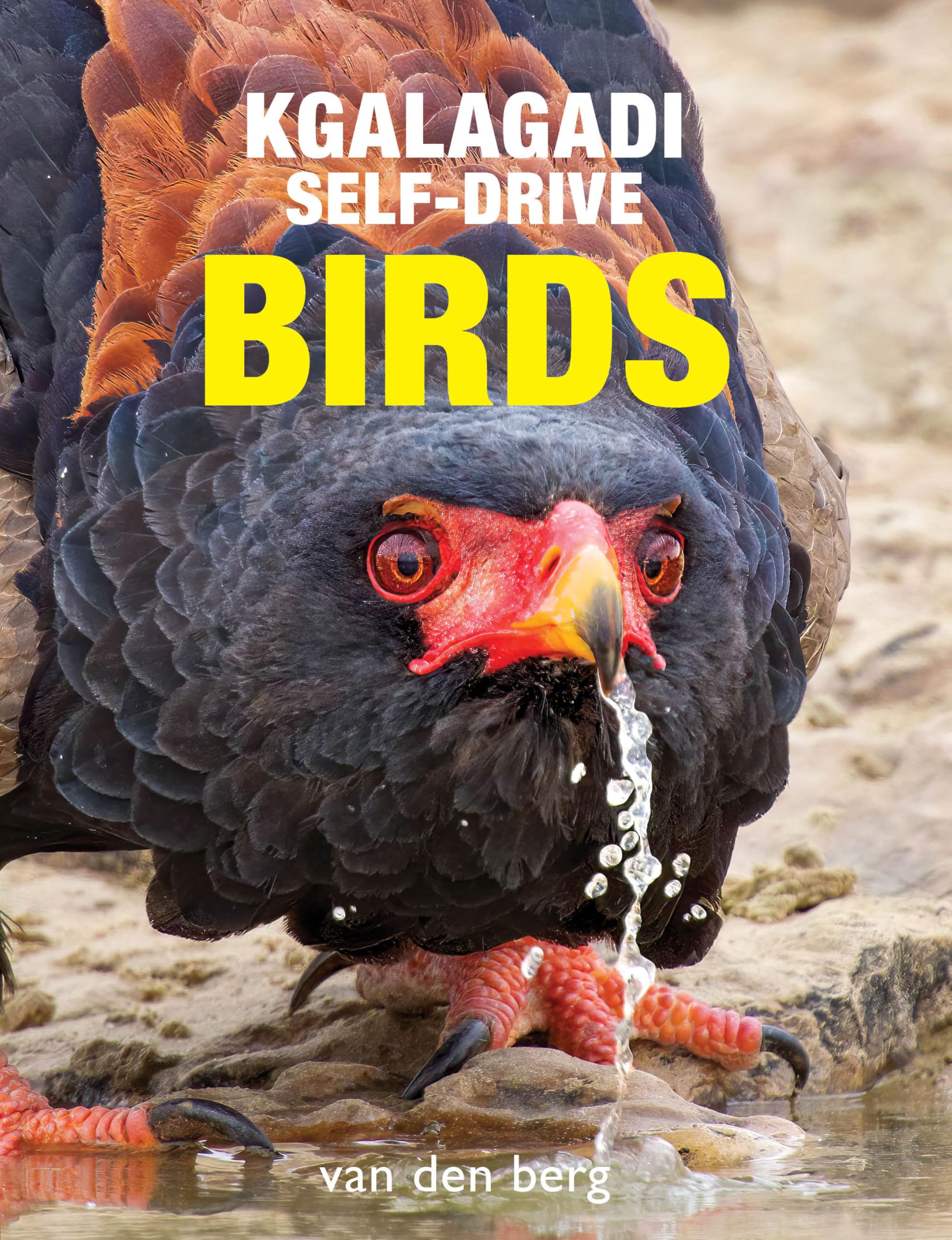 Kgalagadi Self-Drive Birds by Philip van den Berg, Ingrid van... - 9781776433261