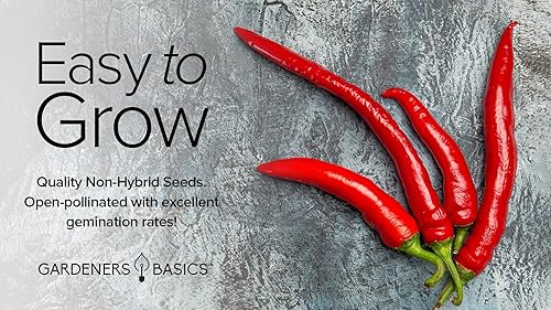 Miniatura 4 de Gardeners Basics, Semillas de pimienta de cayena para plantar pimientos de cayena tradicionales sin OMG, semillas de plantas para verduras de jardín