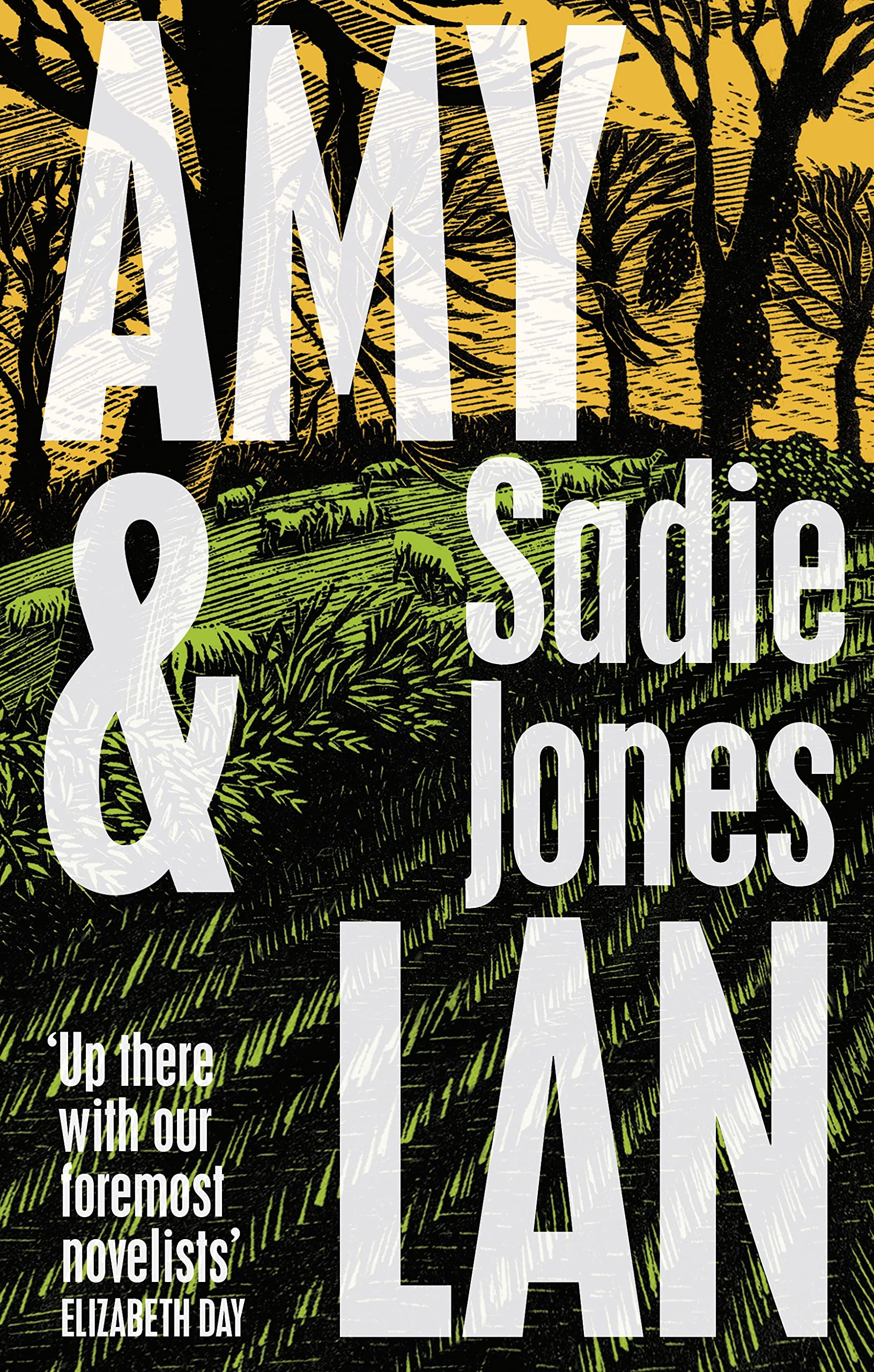 Amy and Lan: The enchanting new novel from the Sunday Times bestselling author of The Outcast