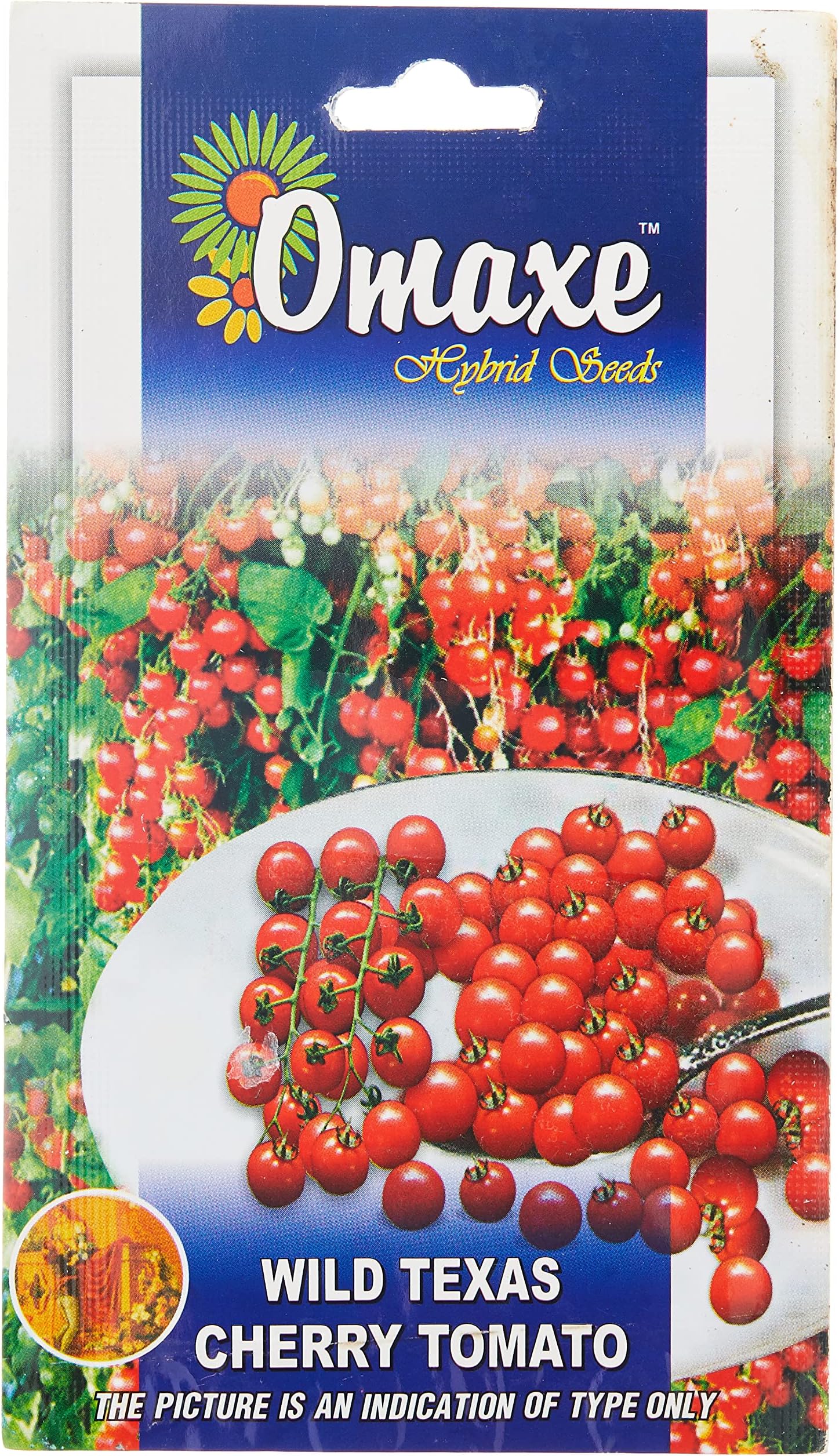 Tomato Cherry Wild Texas Very Small - 100 Seeds Pack Exotic Seeds