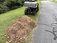 Review Image by Brande B Brande B