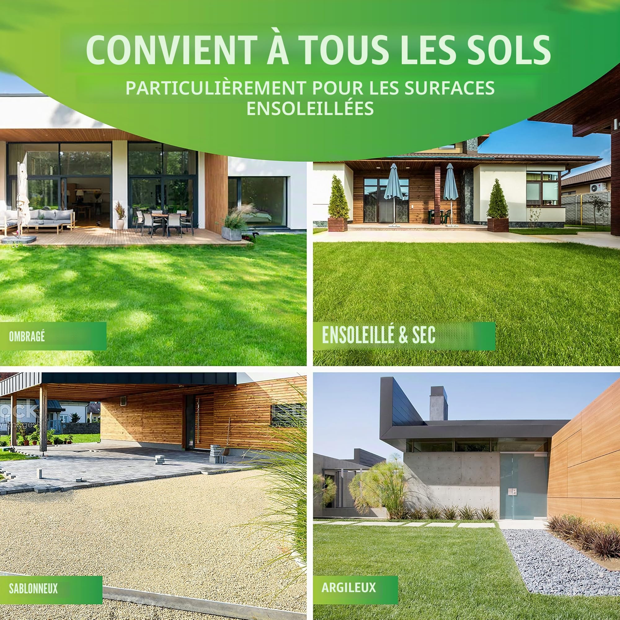 Greenyp® Sunny - Semences de gazon sec résistantes à la sécheresse - 30 kg pour 1200 m² - Semences d'herbe à germination rapide