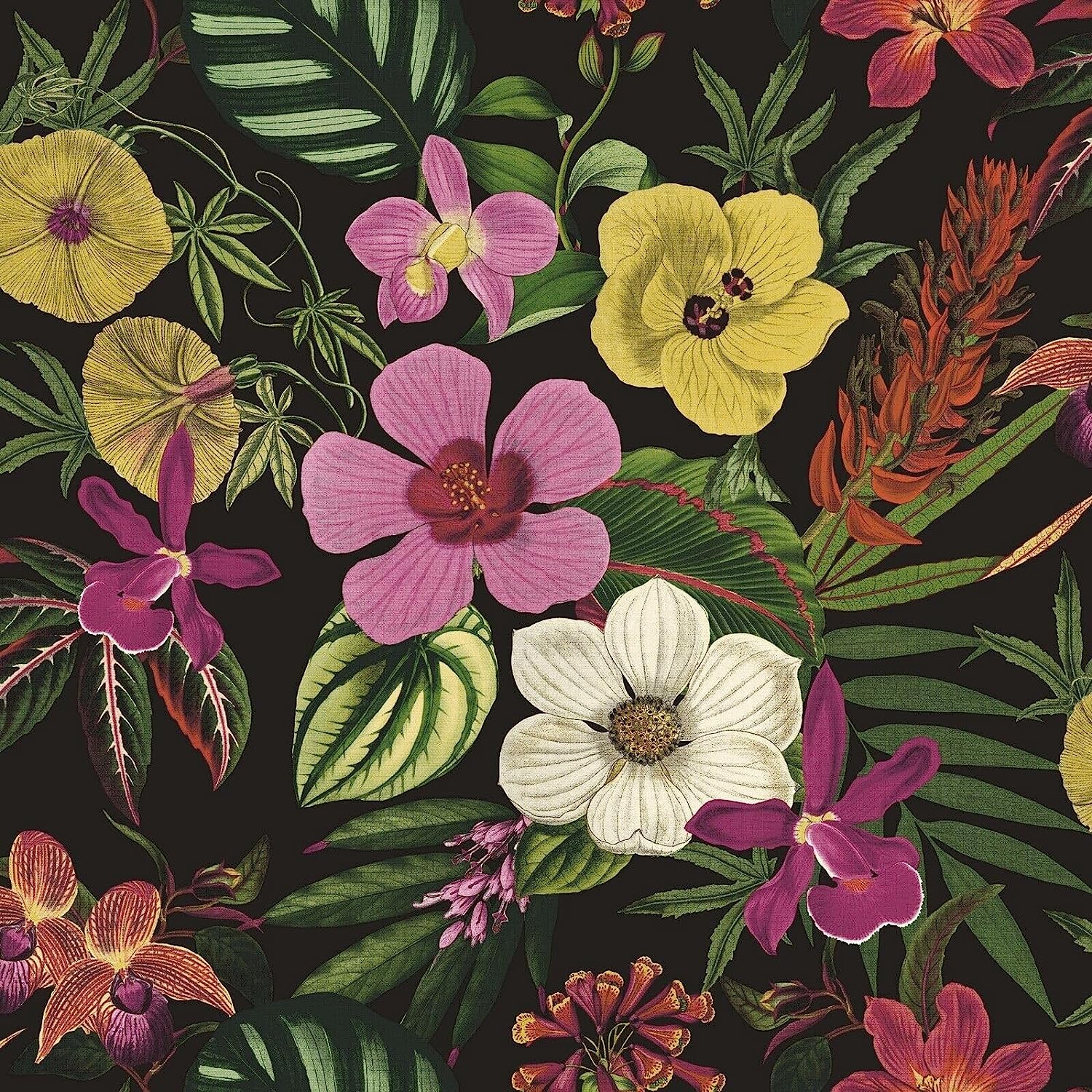 Sophie Laurence Black Floral Orchid Wallpaper Pink Yellow Exotic Tropical Palm Leaves Smooth - Textured, Washable, Strippable - Paste The Paper Feature Wallpaper (, Sample)