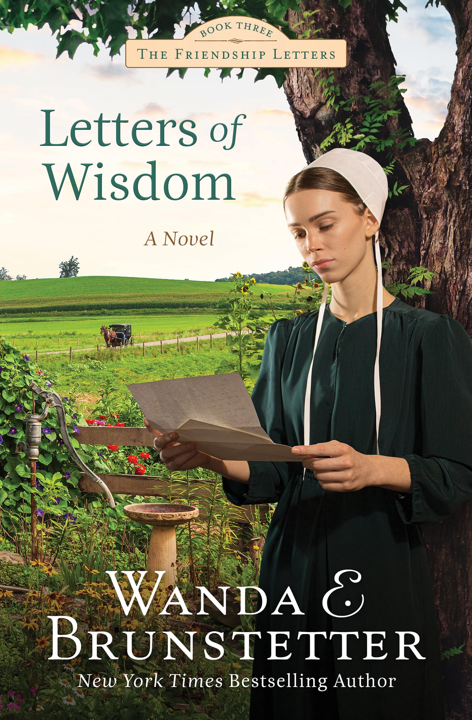 Buy Letters of Wisdom: Friendship Letters #3 Volume 3 — BookShops.in