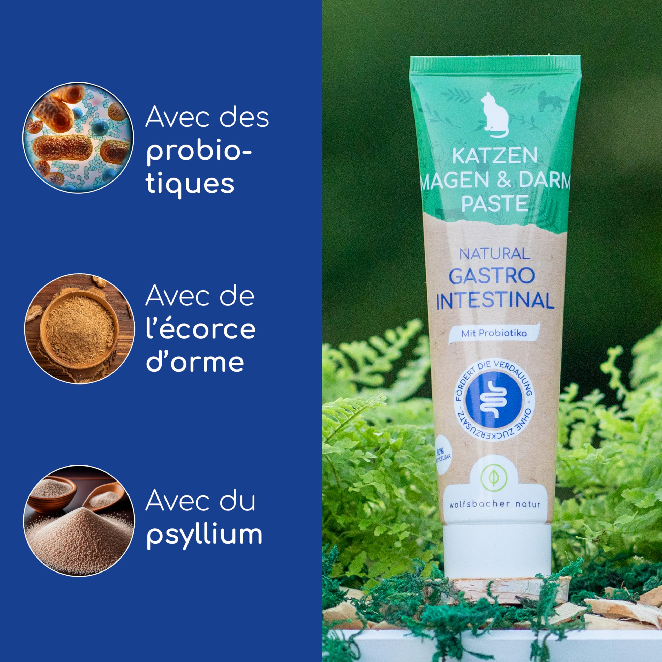 Pâte Gastro-Intestinale pour Chats – avec Probiotiques & Écorce d'Orme pour la Flore Intestinale – Soutient la Digestion & l'Estomac – Snack Doux 100g