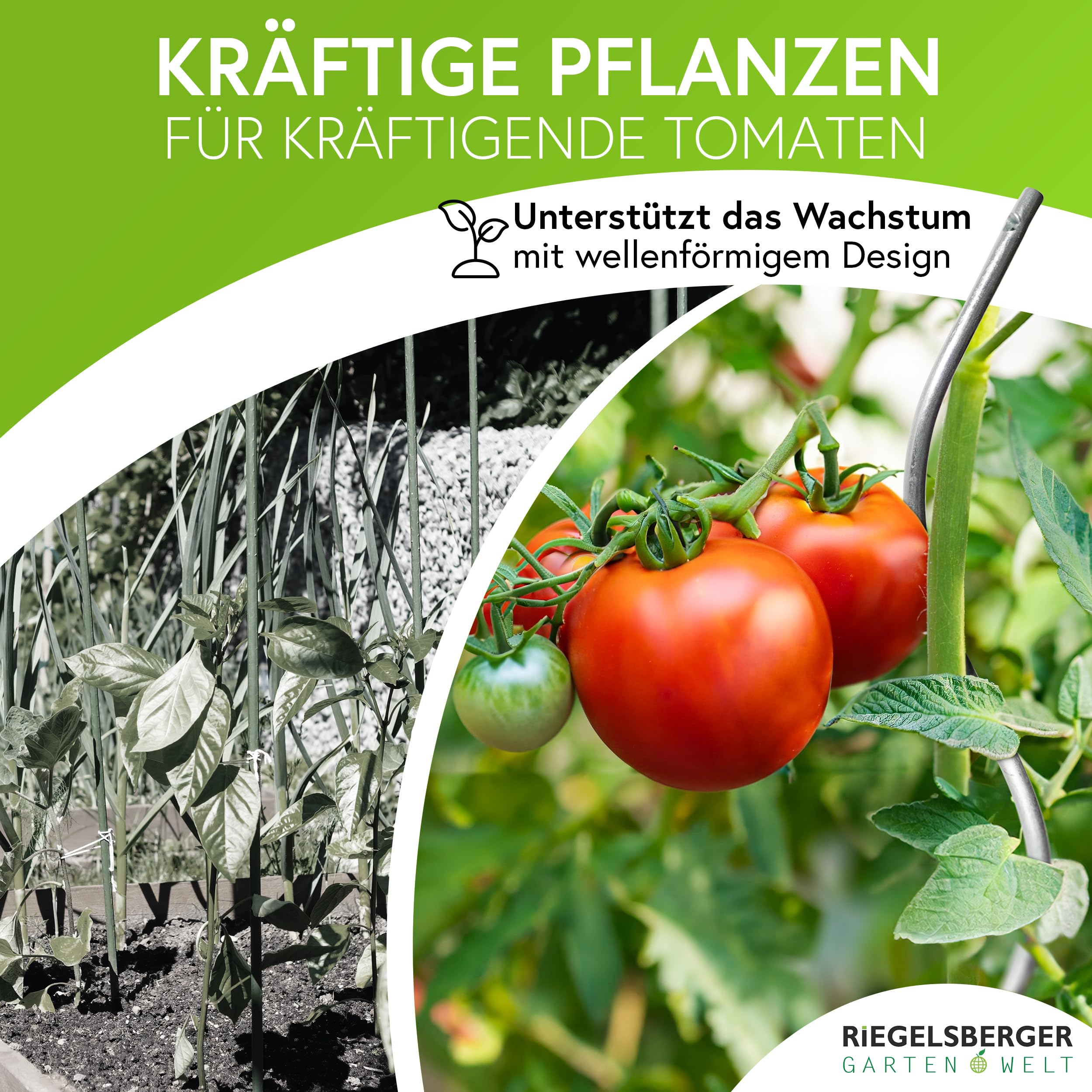 Gartenwelt Riegelsberger Spirali per pomodoro, altezza 180 cm, in acciaio, diametro 5,6 mm, 20 pezzi