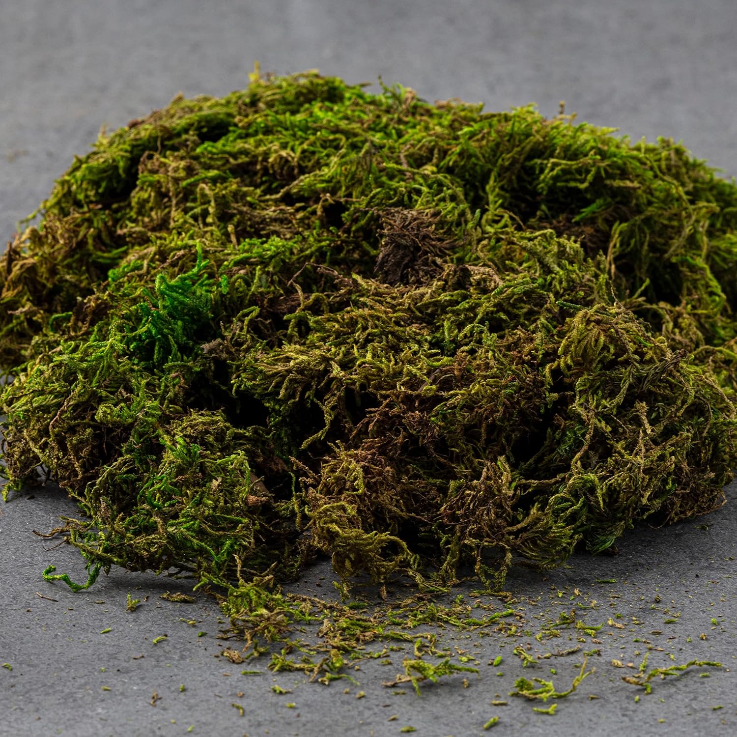 SuperMoss Preserved Forest Moss, 4 Pack