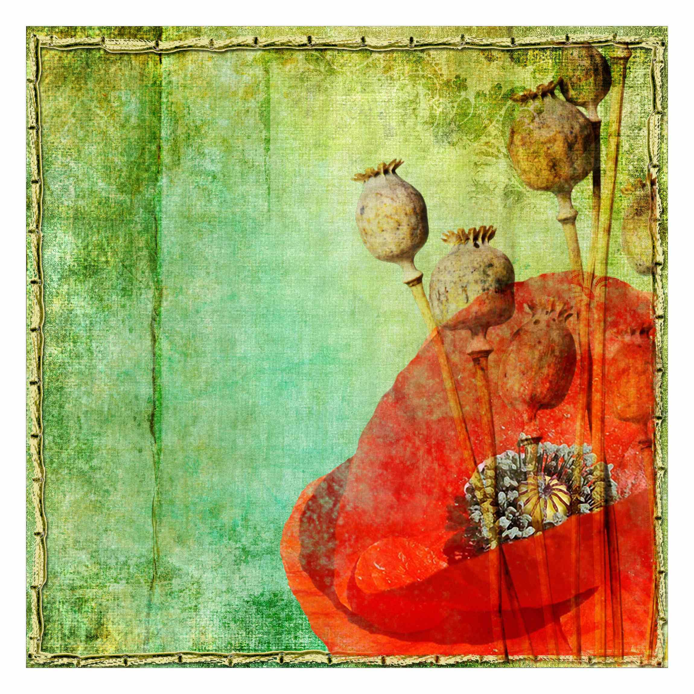 Papier peint panoramique inodore pour chambre adulte, tapisserie coquelicot vert sans odeur de colle