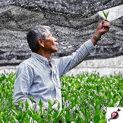 Miniatura 4 de MATCHITA Bolsa de repuesto de polvo de té verde matcha japonés de grado ceremonial orgánico (1.4 onzas), sabor rico y cremoso para bebidas calientes