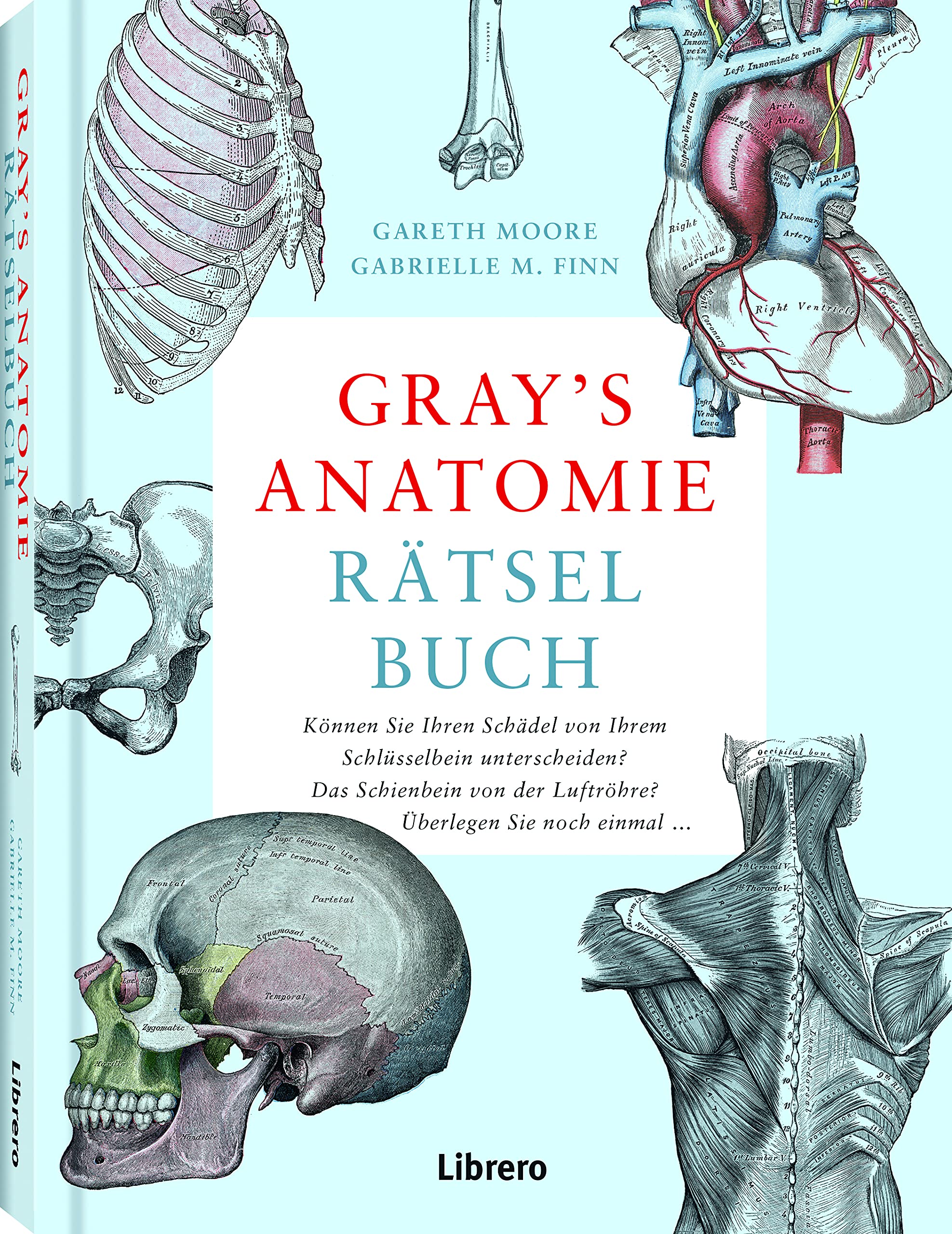 GRAY'S ANATOMIE RÄTSELBUCH: Lösen Sie viele ausgefeilte Rätsel, um zu entdecken, wie der menschliche Körper funktioniert