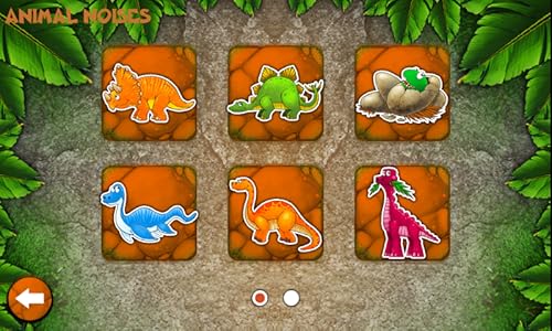 Dino Box