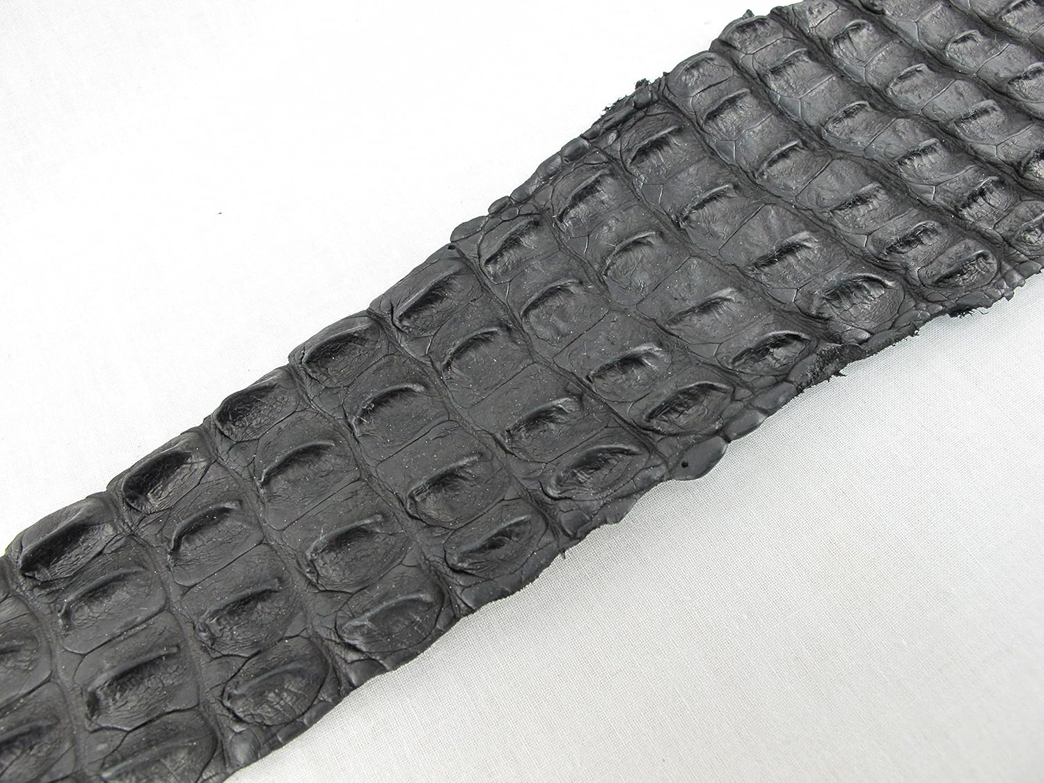 PELGIO Genuine Crocodile Alligator Hornback Skin Strap Leather Hide Pelt Black (6.0" x 46")