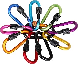 QH-Shop Moschettone, Moschettoni in Alluminio 10 Pezzi Colors Assortiti D-Ring Portachiavi Moschettone per Zaino Handpack Corde CampeggioTrekking