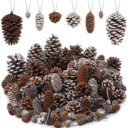 Fovths 66 piezas de adornos de piñas de Navidad con cuerda, conos de pino rústicos naturales a granel, varios tamaños, decoración de piñas colgantes