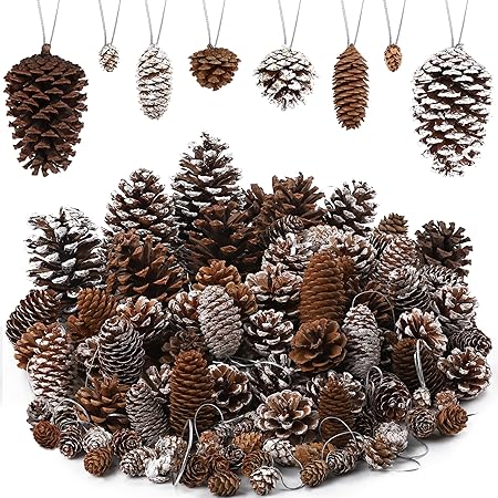 Whaline 170Pcs Christmas Pine Cones Berry Pine Branch Set Snow
