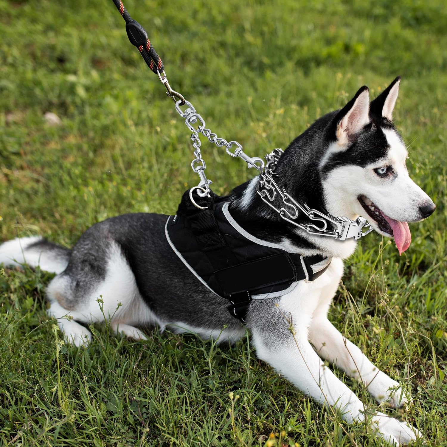 Prong Collar Safety Clip, Leash Backup with Dual Clasps | Stainless Steel, Collars and No Pull Harness Connectors