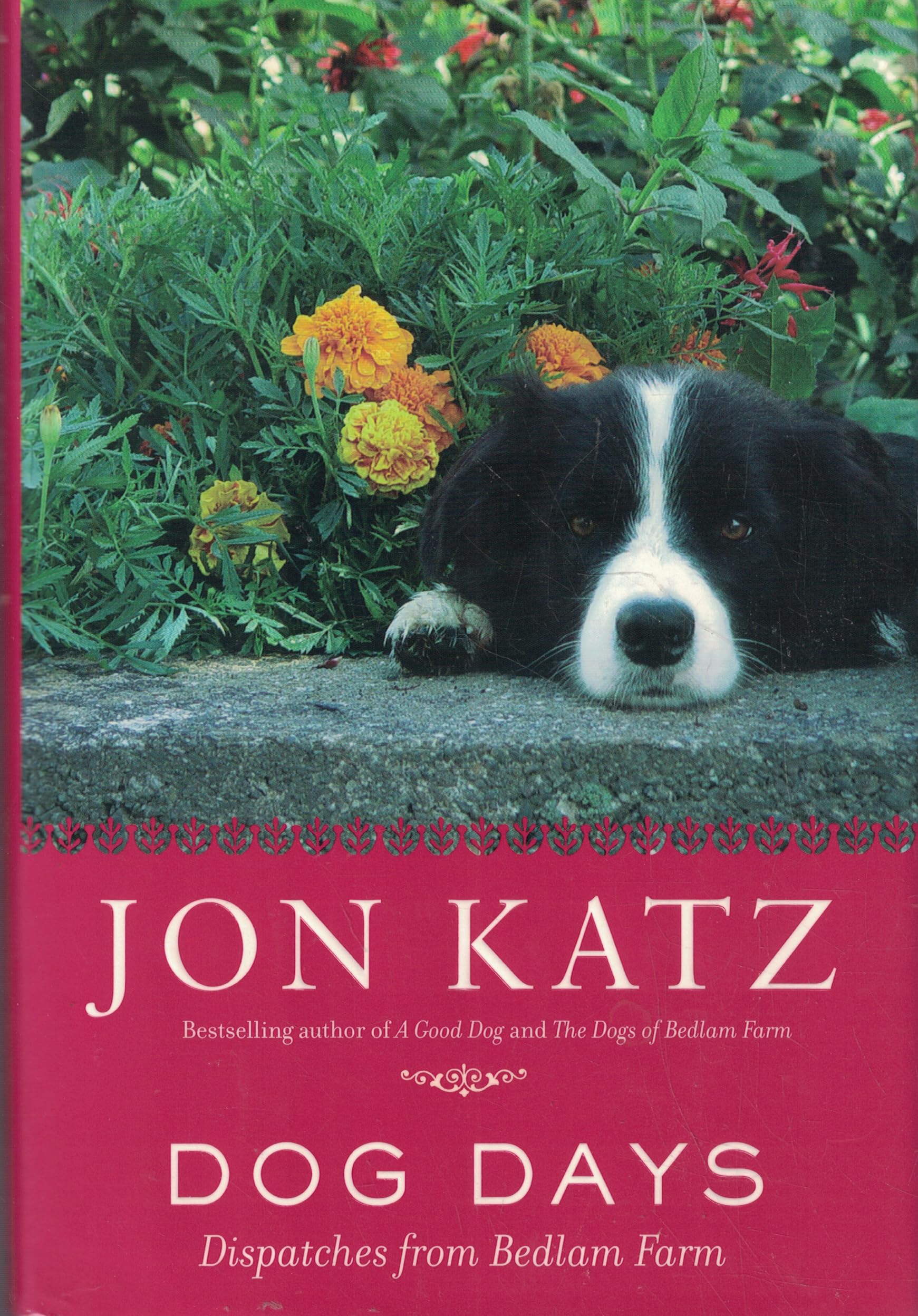 Cover of Dog Days: Dispatches from Bedlam Farm