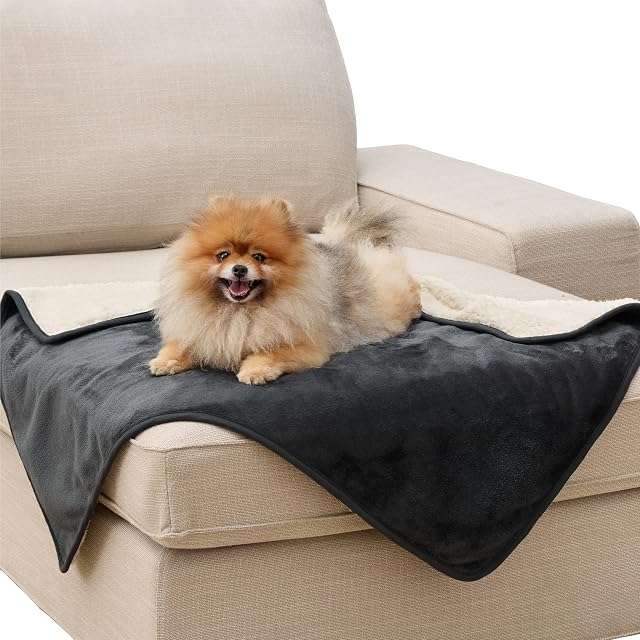 LE SURE Manta Impermeable para Perros Lavable, 100x80 cm Negro