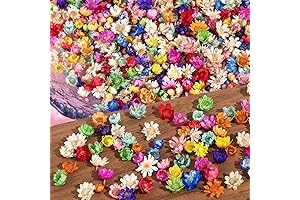 Mini Dried Flowers for Crafts