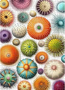 PICKFORU Beach Ocean Flower Jigsaw Puzzle - 1000 Pieces, Summer Shell & Starfish Theme For Adults - View #3