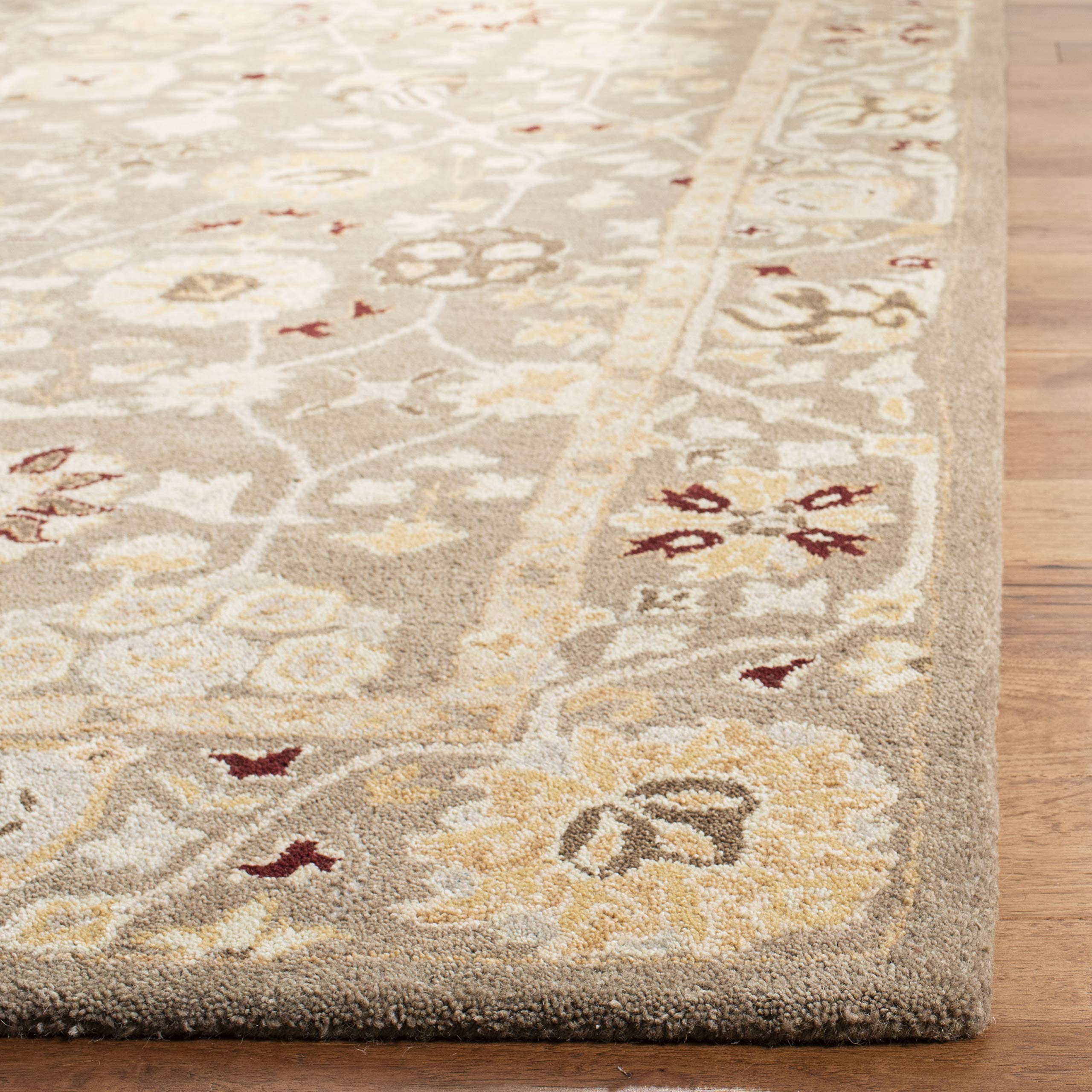 Amazon.com: SAFAVIEH Anatolia Collection Area Rug - 6' x 9', Beige