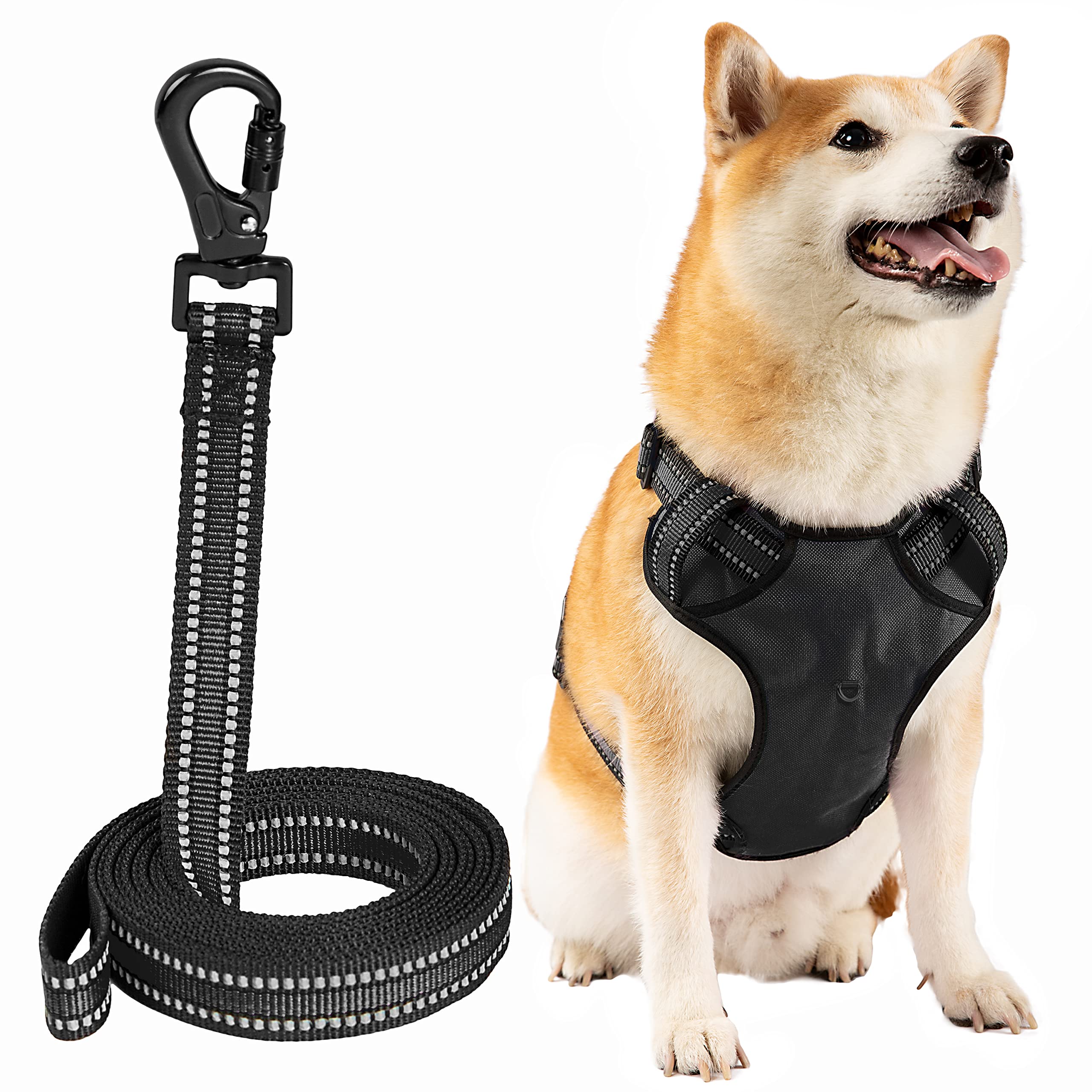 MXCOIRTP Dog Harness and Leash Set, Adjustable Reflective Soft Padded