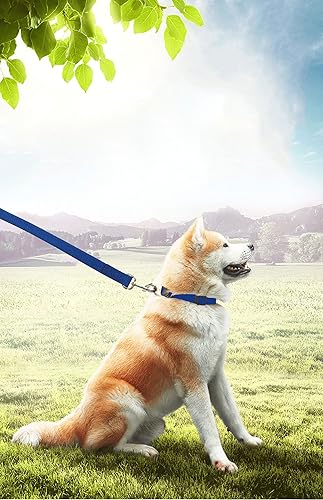 Miniatura 5 de PETGOGO Correas de entrenamiento para perros pequeños y medianos de 15, 20, 30, 40, 50 pies de largo, para perros pequeños y medianos (15 pies, azul)