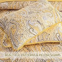 Vista 215 de DJY Juego de edredón de cachemira marrón, tamaño Queen, juego de colcha bohemia de 3 piezas, ropa de cama de microfibra suave y ligera con estampado