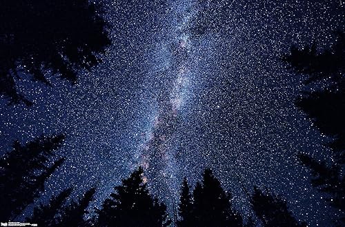 Trends International Póster de pared de la Vía Láctea en la noche, 22.375 x 34 pulgadas, versión sin marco