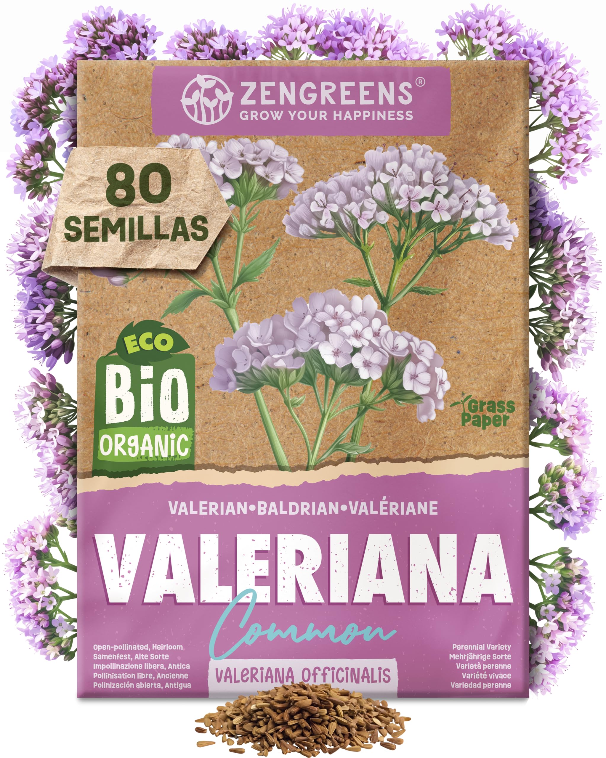 ZenGreens® - Set de semillas de hierbas medicinales y para infusiones eco - 10 variedades para cultivar fácilmente en el jardín, balcón o parterre elevado - Sementes verduras — view 23