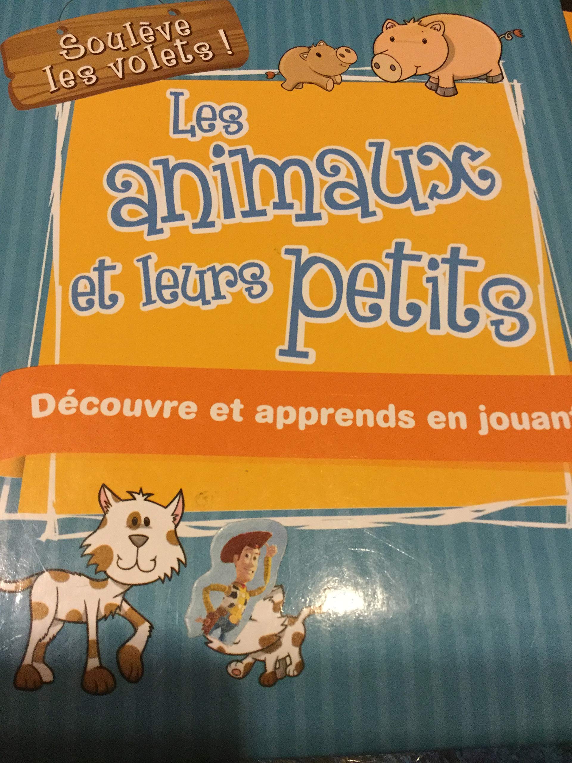 Souleve les Volets! Les animaux et leurs petits, Decouvre et apprends en jouant! [Hardcover] Katia Senay