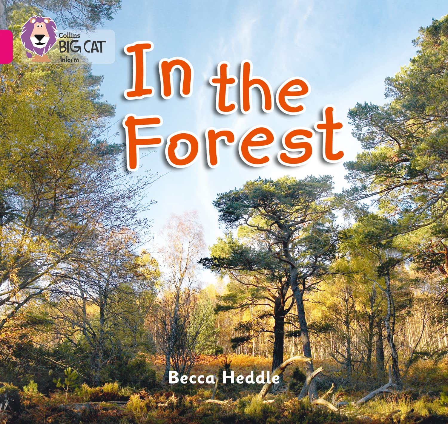 Collins Big Cat - In the Forest: Band 01B/Pink B. Heddle 9780007412822 New**