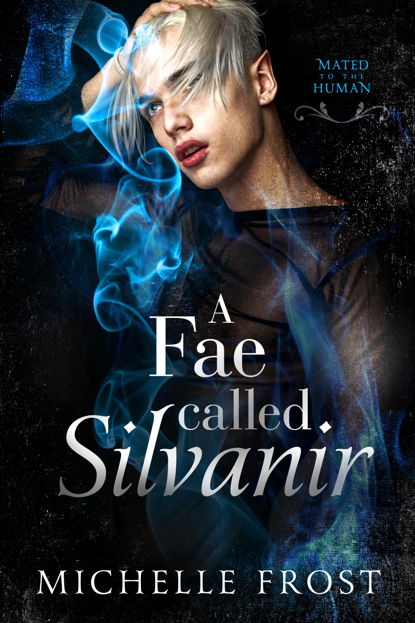 A Fae Called Silvanir (Mated To The Human Book 5)