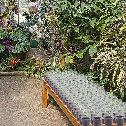 Miniatura 7 de winemana Juego de 36 macetas para vivero con cúpula de humedad, macetas transparentes para plantas, macetas de inicio de semillas con agujeros de