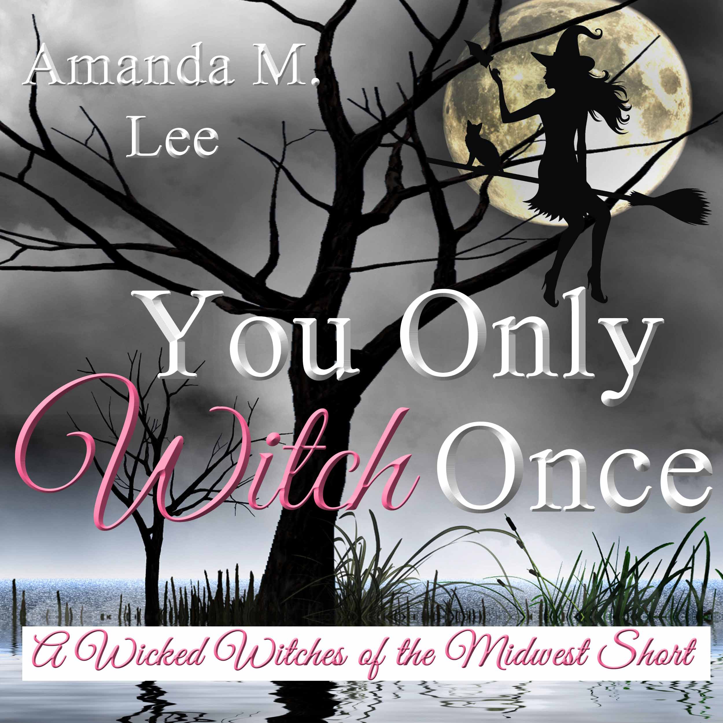 Cover art for You Only Witch Once
