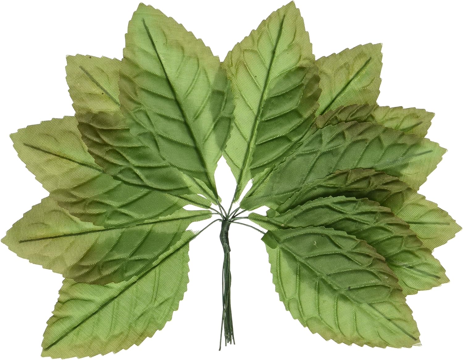 Darice DAR02SL12 12 Piece Rose Leaf, Large