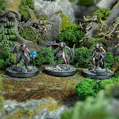 Miniatura 3 de Modiphius Entertainment The Elder Scrolls Call to Arms Hagraven Coven - 3 figuras, 1.260 in de resina sin pintar RPG Miniaturas, Bases escénicas,