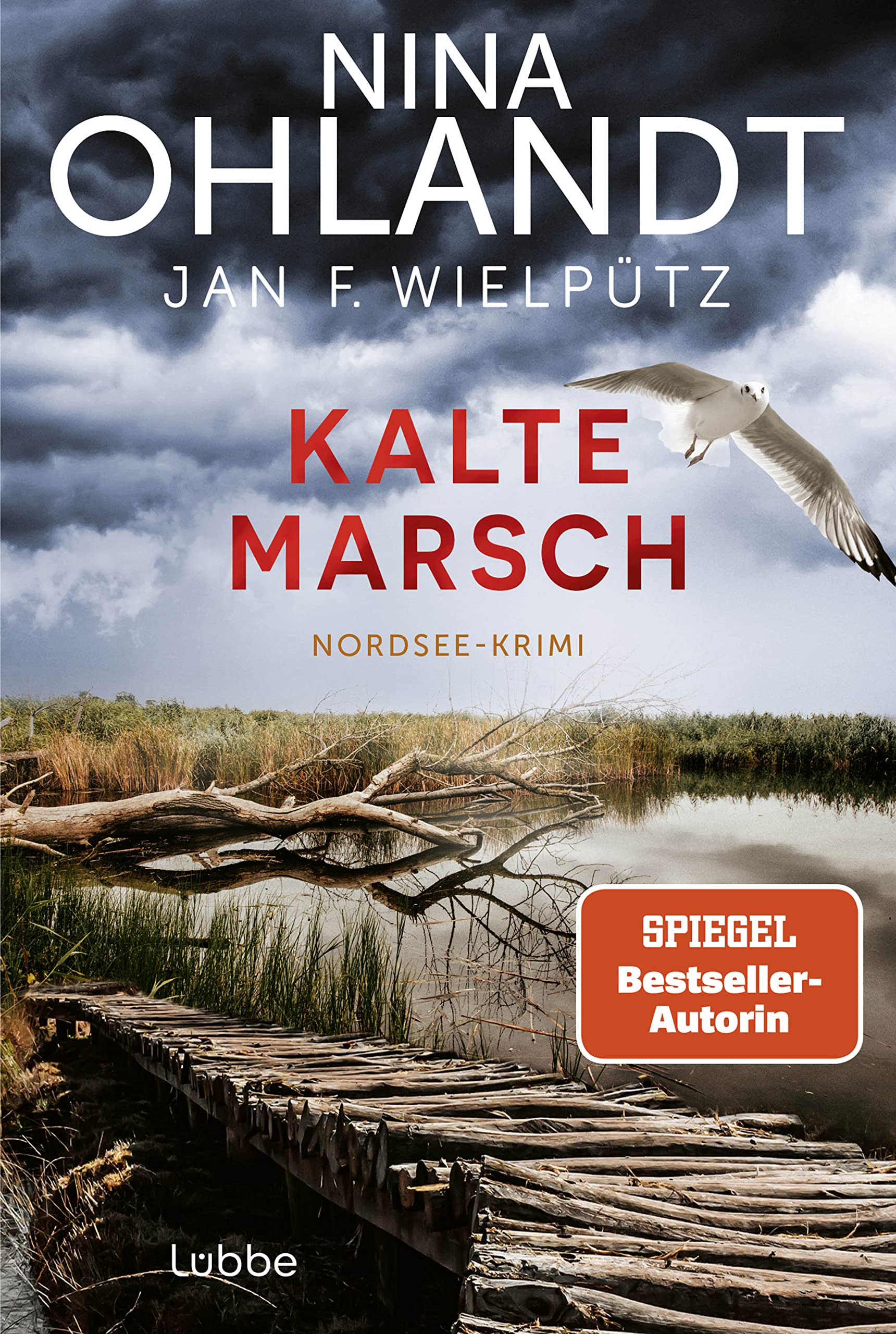 Kalte Marsch: Nordsee-Krimi