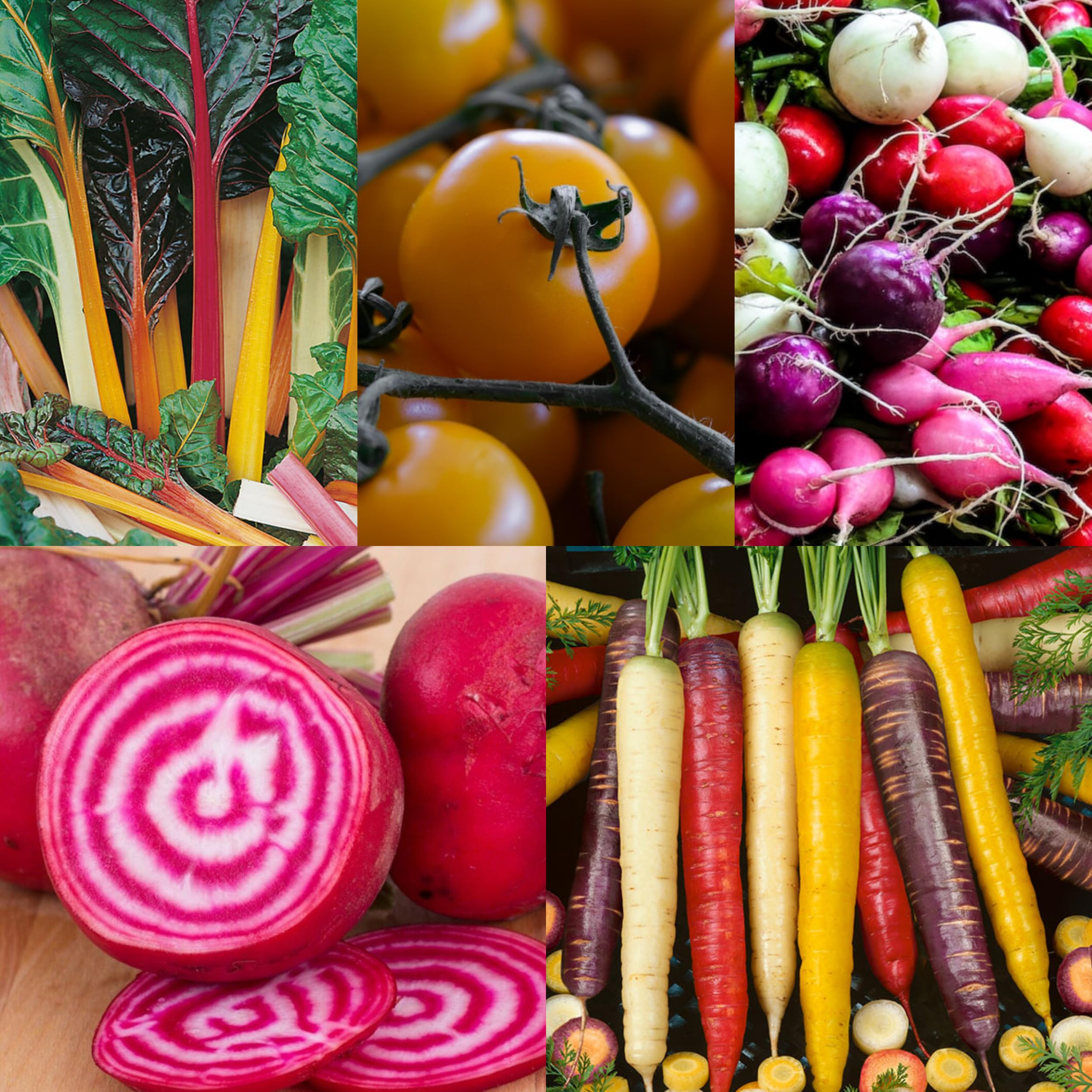 Rainbow Vegetable Seeds Collection. 5 Colourful Vegetable Varieties. Plant and Grow Your Own Vegetables Ideal for Greenhouse, Garden, Polytunnel, Large Pots or Containers by Meldon Seeds