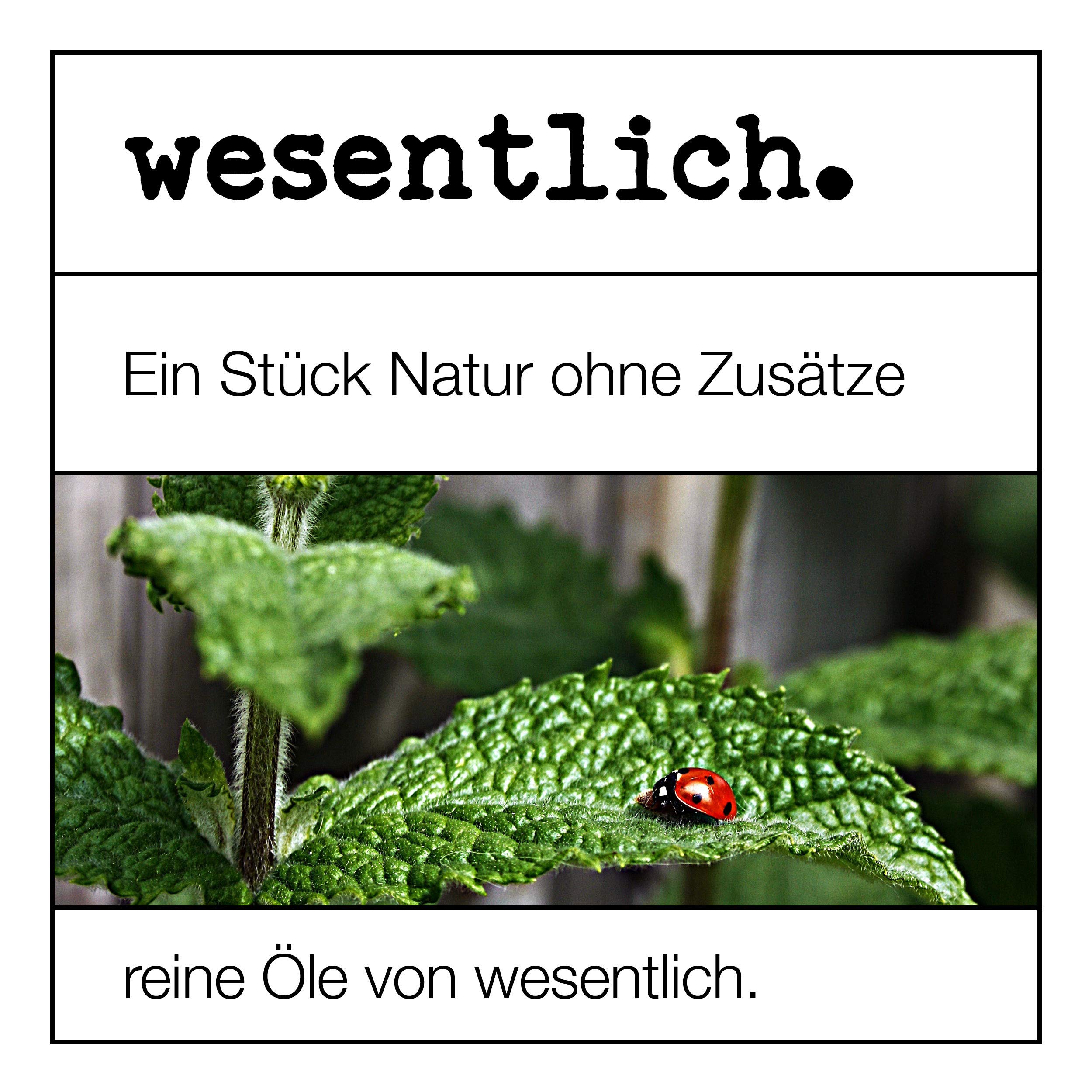Ätherische Öle Set No. 3 (Basisdüfte) von wesentlich. Oregano, Basilikum, Grapefruit, Latschenkiefer, Muskatellersalbei, Wacholderbeere, Kampfer und Mandarine - 100% naturrein