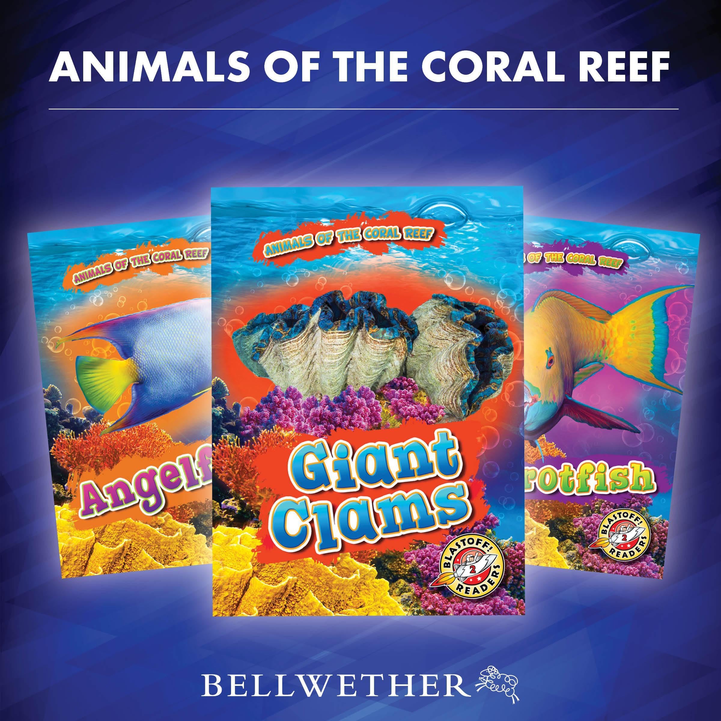 Animals of the Coral Reef