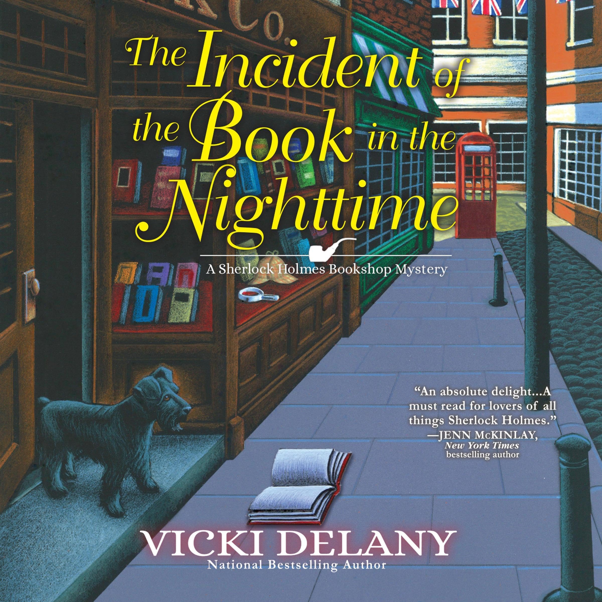 Cover art for The Incident of the Book in the Nighttime